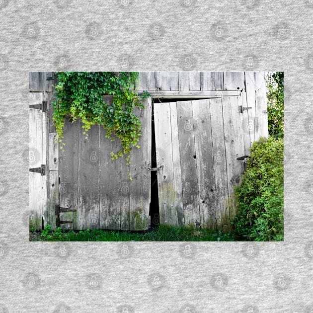 Weathered Barn Doors 2 by Robert Alsop